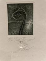 M. Gruev-Bulgarije - etsje van bloem, 2000 tot heden, Ets, 4 cm, Ophalen of Verzenden