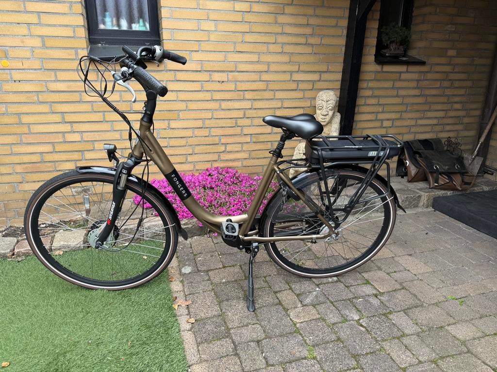 Fongers dames e bike, Fietsen en Brommers, Ophalen, 0 zitjes, Zo goed als nieuw, Overige merken