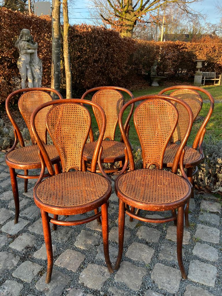 Originele Josef Hoffmann Thonet stoelen ontwerp 1920, Ophalen, Gebruikt, Bruin, Thonet