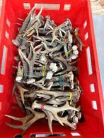 Ree geweien herten stangen reebok afwerpstangen honden boten, Ophalen