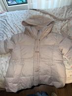 Nieuwe Kledingloods Pufferjas Amira - Beige met Riem, Kleding | Dames, Jassen | Winter, Ophalen, Nieuw, Maat 36 (S), Beige