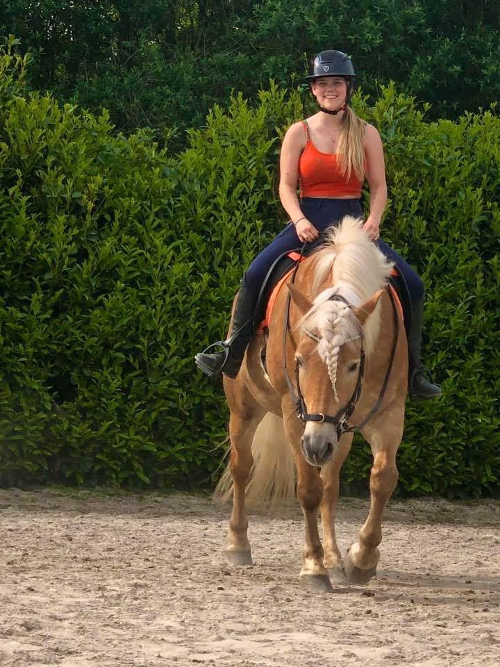 Vriendelijke gezellige bijrijder aangeboden