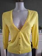 Oui Black Label vest cardigan nieuw geel S 36, Verzenden, Nieuw, Maat 36 (S), Geel