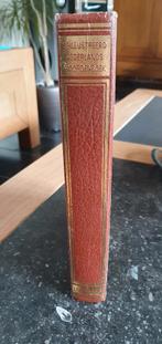 Geïllustreerd nederlands woordenboek lekturama 1981, Ophalen of Verzenden, Gelezen, Nederlands