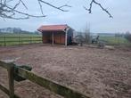 Paarden stalling aangeboden 24/7 buiten, Dieren en Toebehoren, Stalling en Weidegang, Weidegang