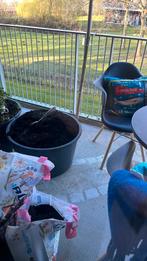 3 speci kuipen met zand, Minder dan 30 cm, Balkon, Rond, Ophalen of Verzenden