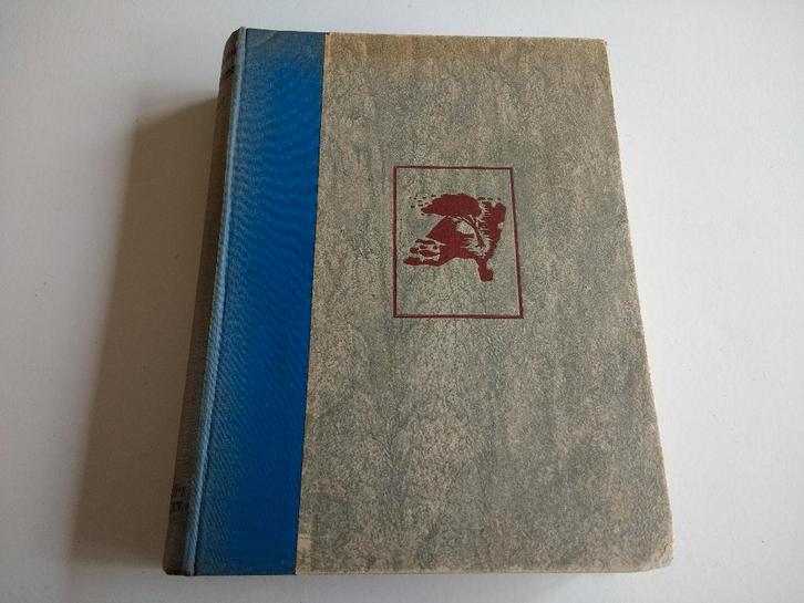 Boek Tegen de vlagen van den oostenwind E. Michielsen WO2, Boeken, Oorlog en Militair, Gelezen, Landmacht, Tweede Wereldoorlog