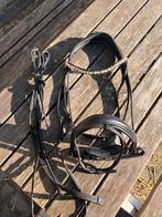 Kavalkade hoofdstel full, Dieren en Toebehoren, Ophalen of Verzenden, Zo goed als nieuw, Dressuur