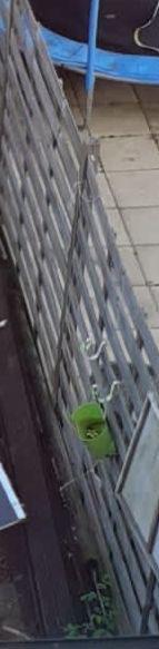 6 schuttingpanelen 180*180, Tuin en Terras, Schuttingen, Ophalen, Minder dan 3 meter, Hout, 1 tot 2 meter