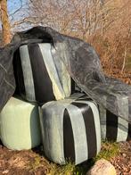 Midi balen mooi hooi, Ophalen, Vee