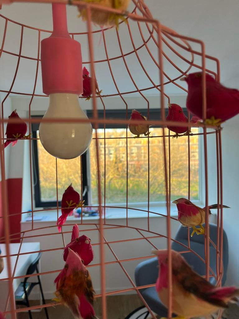 Leuke roze kinder hanglamp met vogeltjes, Ophalen, Gebruikt, Metaal, 50 tot 75 cm