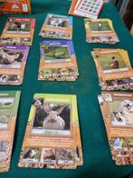 kwartet boerderij dieren, Ophalen of Verzenden, 'T Olde Gre-j, Info@toldegrej.nl, Endepoelstraat 20f Didam