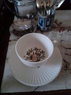 WEDGWOOD CONWAY. Teacup/saucer., Ophalen of Verzenden, Zo goed als nieuw, Wedgwood, Kop(pen) en/of Schotel(s)