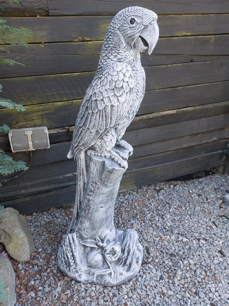 Grote betonnen papegaai beeld voor tuin of terras