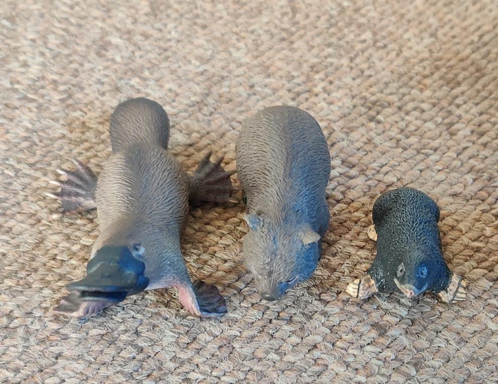 3 collecta wilden dieren Platyputs / mol / wombat, Verzenden, Nieuw, Dier