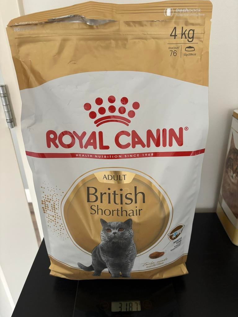 Royal canin kattenvoer british shorthair, Ophalen of Verzenden, Kat