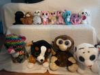 TY Beanie Boo’s, Kinderen en Baby's, Speelgoed | Knuffels en Pluche, Ophalen, Zo goed als nieuw, Overige typen