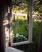 Woning gezocht - in rustig, landelijk gebied