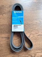 PQS500600 - LAND ROVER Defender BELT / multiriem, Ophalen of Verzenden, Nieuw, Land Rover