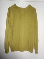 Penn & Ink Groen Truitje Met Capuchon Maat XL, Penn & Ink, Maat 46/48 (XL) of groter, Ophalen of Verzenden, Zo goed als nieuw