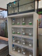 Broedkooien ( GEHU ), Dieren en Toebehoren, Vogels | Hokken en Kooien, Ophalen, Gebruikt, Kunststof, Broedkooi of Kweekkooi