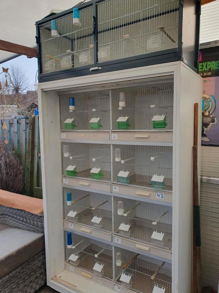 Broedkooien ( GEHU ), Dieren en Toebehoren, Vogels | Hokken en Kooien, Gebruikt, Broedkooi of Kweekkooi, Kunststof, Ophalen