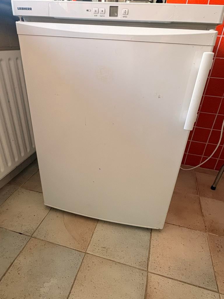 Liebherr tafelmodel koelkast, Ophalen, 150 tot 200 liter, Minder dan 85 cm, 45 tot 60 cm