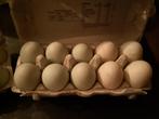 Bevruchte eenden eieren, Dieren en Toebehoren, Ophalen, Nieuw, Overige typen