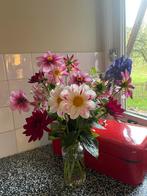 Planten en dahliaknollen - pluk zelf boeketten uit je tuin, Ophalen, Overige typen, Overige materialen, Zo goed als nieuw