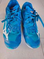Mooie volleybal mizuno schoenen maat 42, Sport en Fitness, Ophalen of Verzenden, Zo goed als nieuw, Schoenen