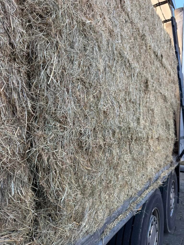 Weidehooi grote balen voordroog hooi in folie paarden kuil, Dieren en Toebehoren, Dierenvoeding, Ophalen, Vee