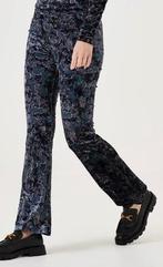 Garcia velvet flared broekje nieuw maat XS, Blauw, Nieuw, Ophalen of Verzenden, Maat 34 (XS) of kleiner