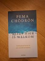 Alles Hier Is Welkom - Pema Chödrön, Boeken, Ophalen of Verzenden