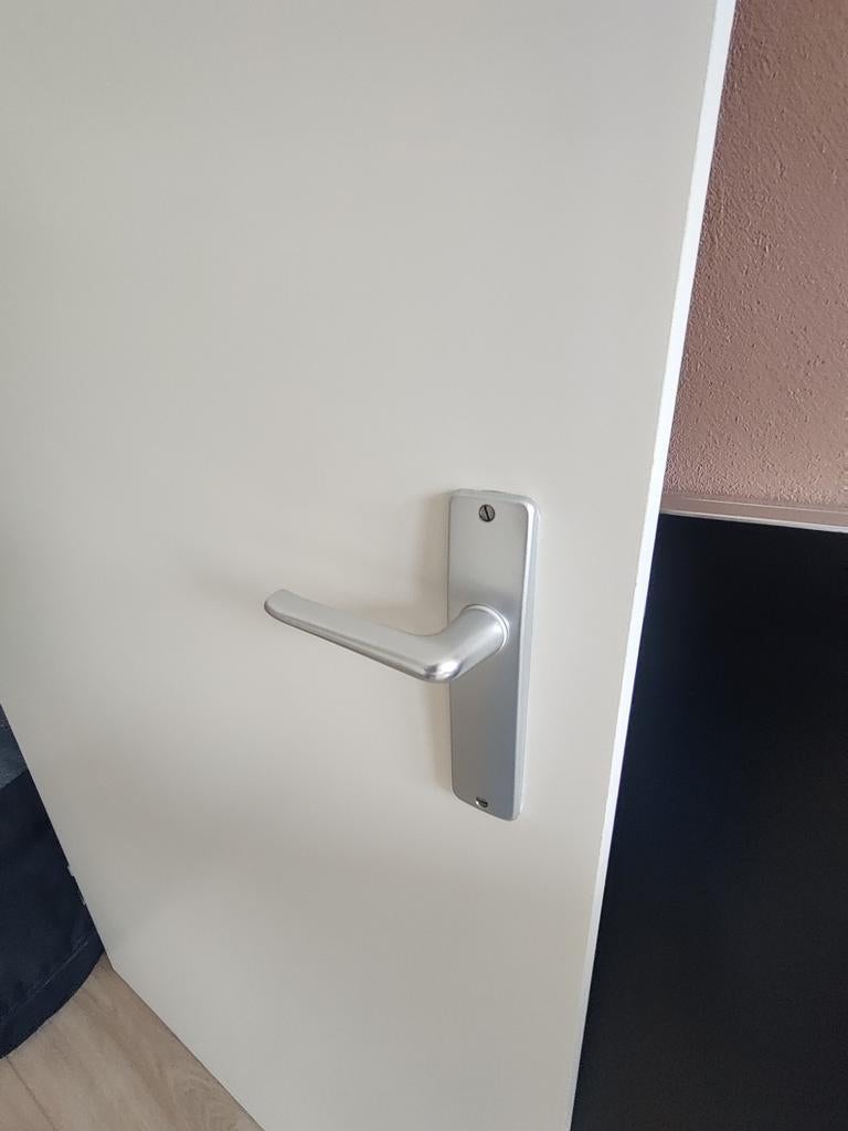 Witte berkvens opdekdeur linksdraaiend 880x2315  binnendeur, Doe-het-zelf en Verbouw, Deuren en Horren, Ophalen, Gebruikt, Binnendeur