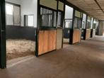Nog 2 ruime boxen vrij (420x370) op kleine pensionstal, Stalling, 2 of 3 paarden of pony's