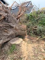 Grote berg groen afval, 6 m³ of meer, Ophalen, Overige houtsoorten, Takken