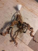 Lamp van druiven stronk, Ophalen