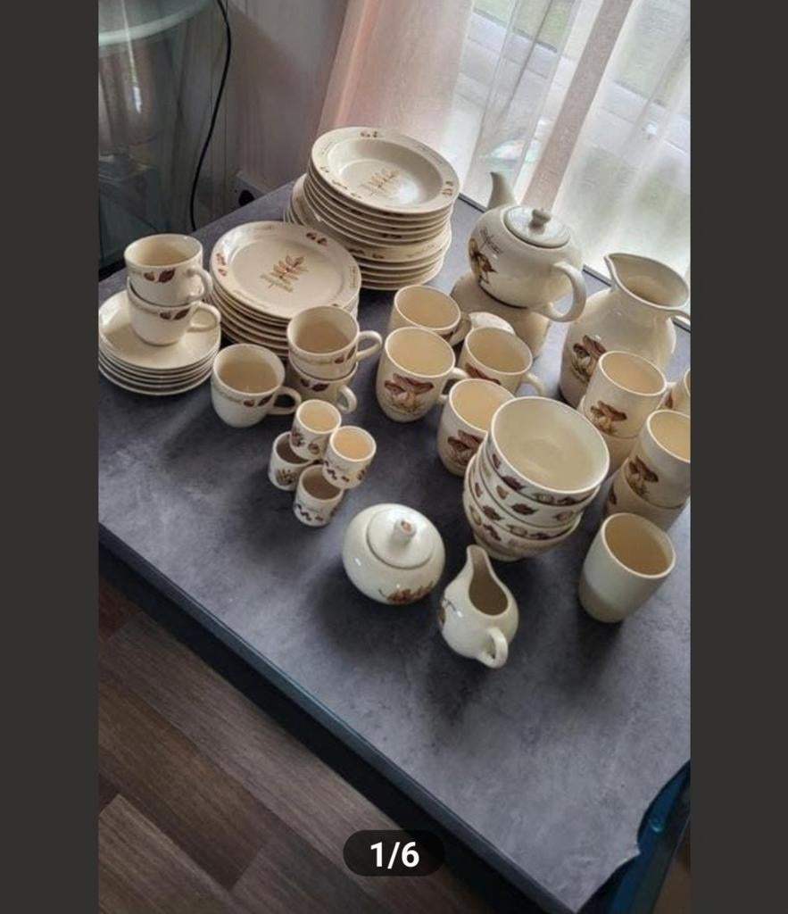JET TER STEEGE servies met herfstdecoratie 60 delig, Ophalen of Verzenden, Zo goed als nieuw, Porselein, Overige stijlen