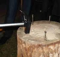 Boomstam gezocht omgeving Venlo, Ophalen, Gebruikt