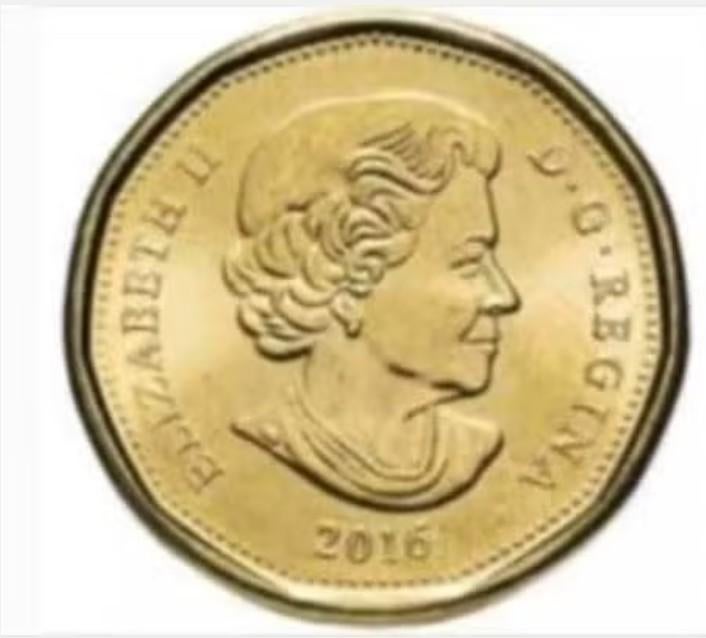 Canada - 1 dollar 2016 - circulated, Postzegels en Munten, Munten | Amerika, Verzenden, Noord-Amerika, Losse munt