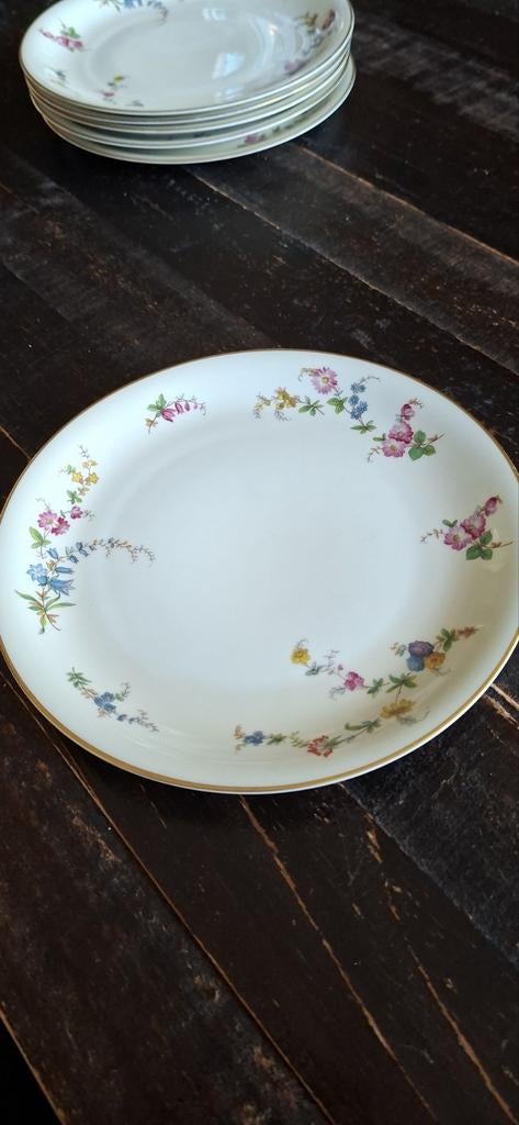 Zes mooie vintageborden Rosenthal, Ophalen of Verzenden