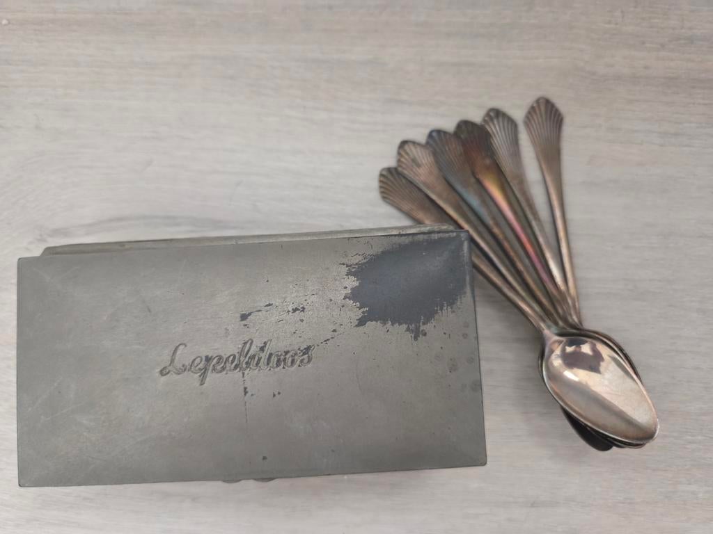 Lepeldoosje met 6 verzilverde lepeltjes, Ophalen of Verzenden