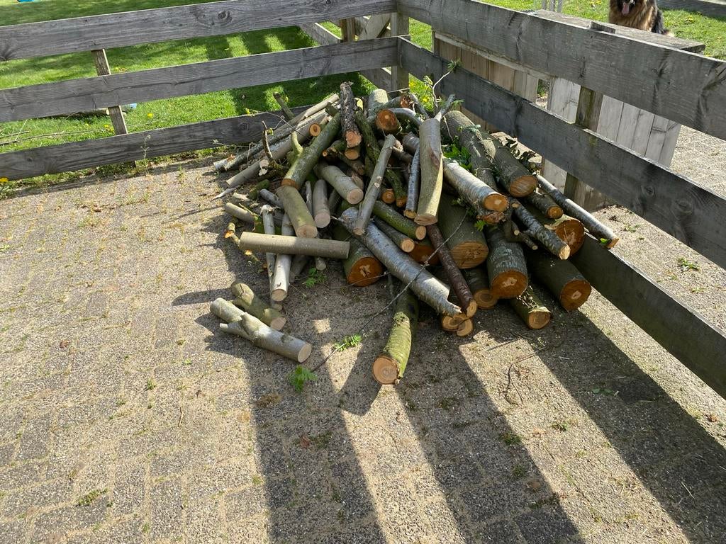 Vers gekapt brandhout - Diverse houtsoorten, Minder dan 3 m³, Ophalen, Overige houtsoorten, Takken