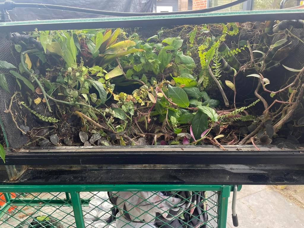Terrarium 160x30x40, Dieren en Toebehoren, Reptielen en Amfibieën | Toebehoren, Ophalen, Gebruikt, Terrarium of Paludarium