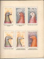 plaatjesalbum Onze Duiven deel 12 van Pleines compleet, Ophalen of Verzenden, Gelezen, C.A.M. Spruijt, Plaatjesalbum