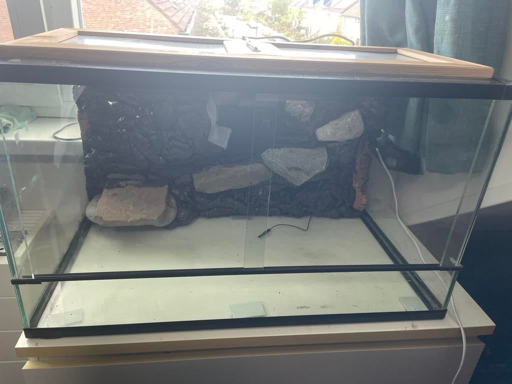 Terrarium 60x40x40, Ophalen, Zo goed als nieuw