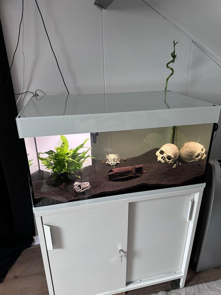 Mooie witte Custom Aquarium 160L, Ophalen, Zo goed als nieuw, Leeg aquarium