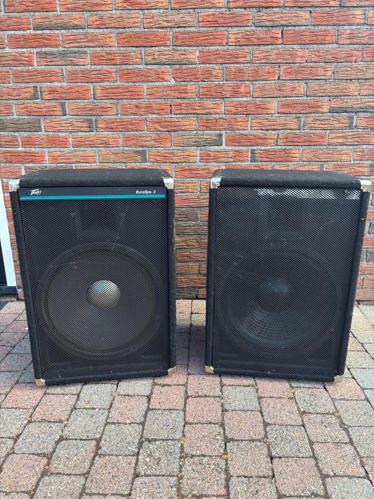 Set van 2 Peavey 15 inch speakers, Audio, Tv en Foto, Luidsprekers, Gebruikt, 120 watt of meer, Front, Rear of Stereo speakers