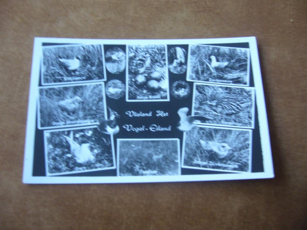 VLIELAND  =  8 LUIK VAN HET VOGEL EILAND, Ophalen of Verzenden, 1940 tot 1960, Gelopen, Waddeneilanden