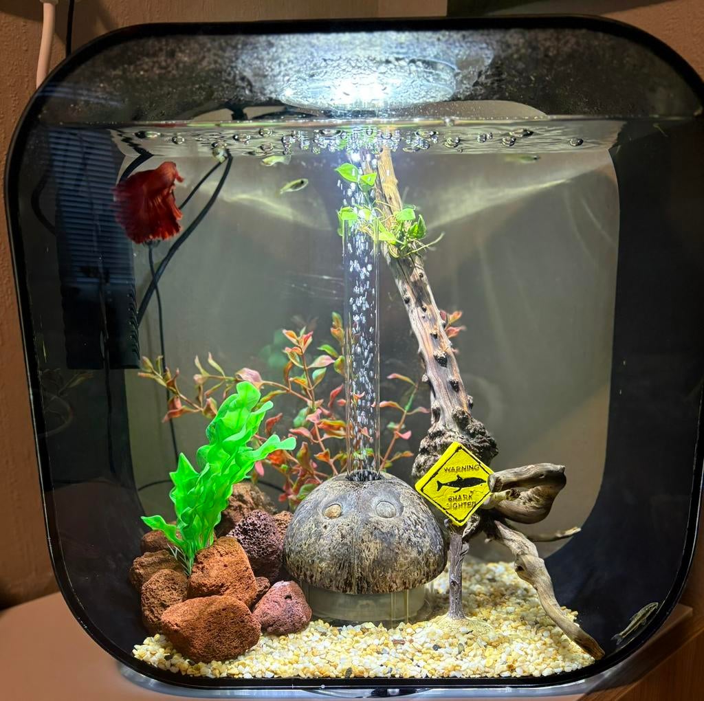 biOrb Life 30L aquarium compleet met accessoires, Dieren en Toebehoren, Vissen | Aquaria en Toebehoren, Ophalen, Inclusief deksel